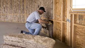 Types of Insulation We Offer in Freer, TX